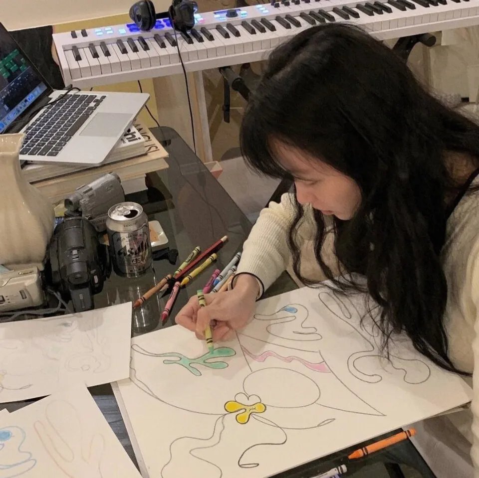 燕子号与亚马逊号