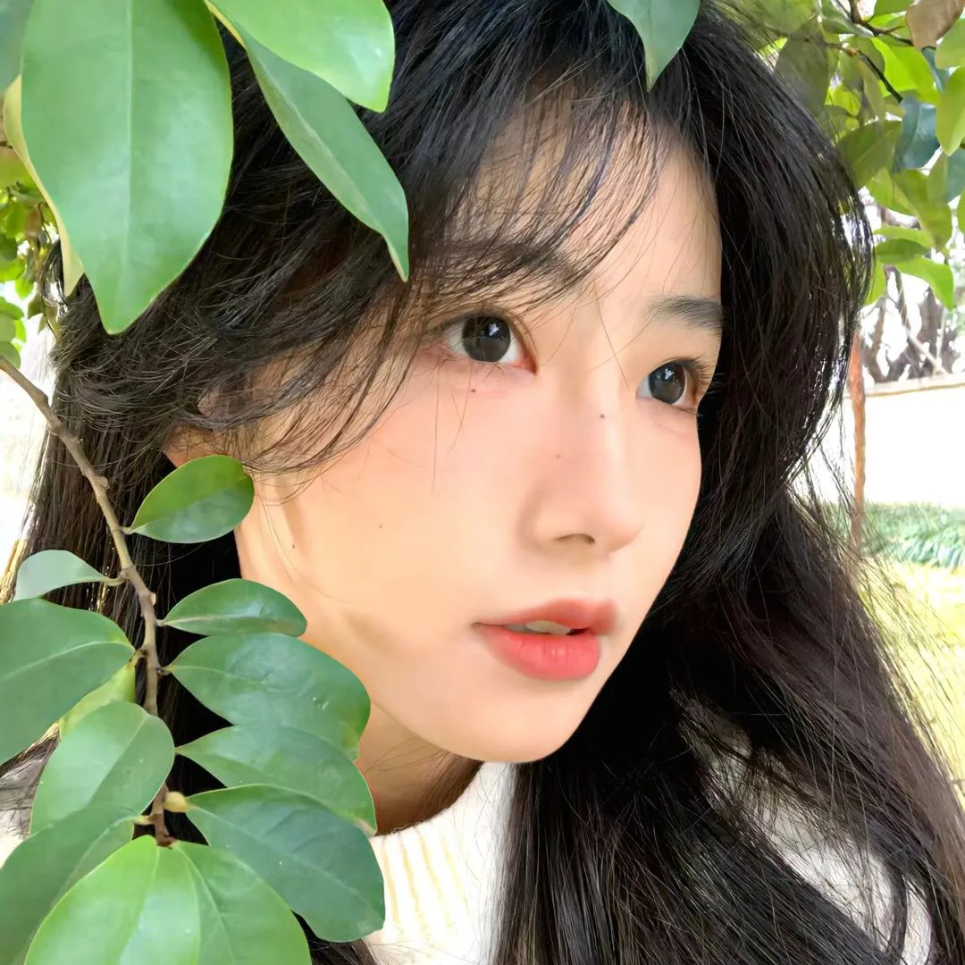 洪兴仔之江湖大风暴